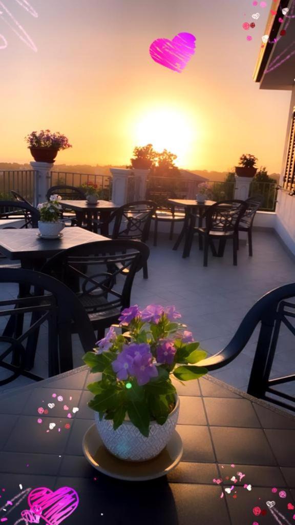 B & B Vilenia San Nicola Arcella Exterior photo